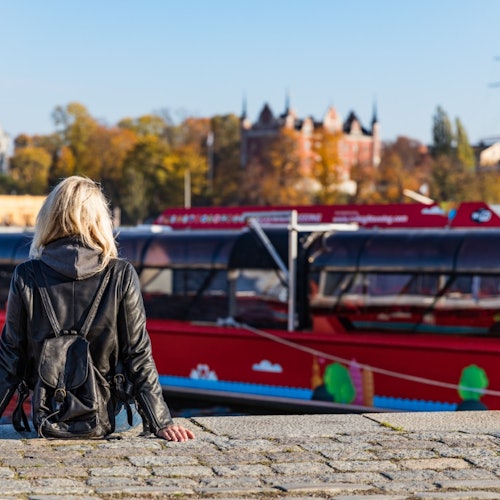 Passeios turísticos com paradas livres por Estocolmo
