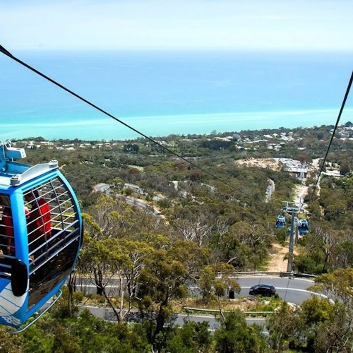 Arthurs Seat Eagle