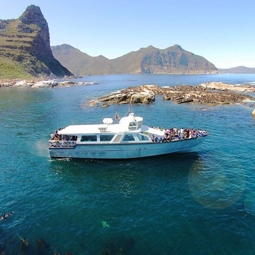 Paseos en barco por Ciudad del Cabo