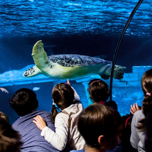 SEA LIFE Porto
