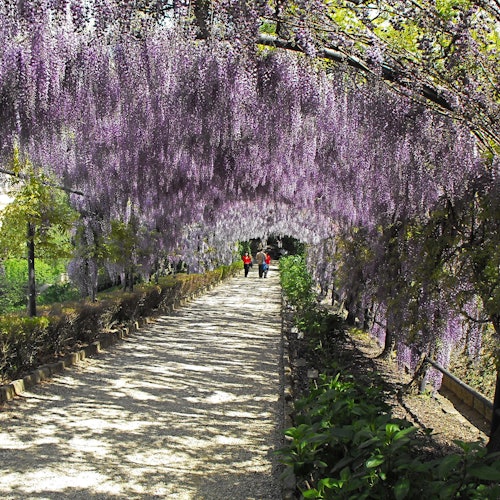 Jardim Bardini