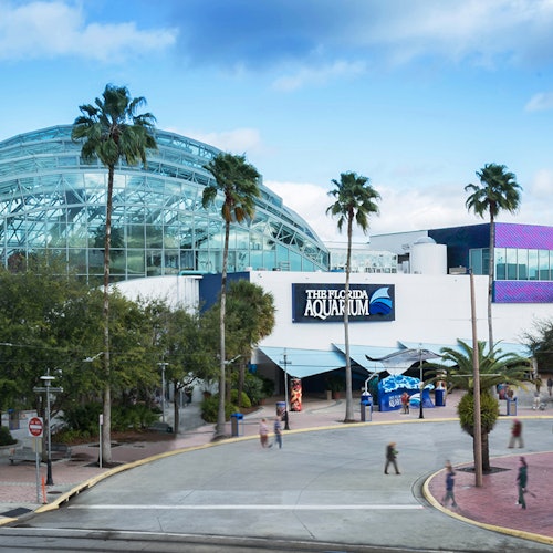 The Florida Aquarium