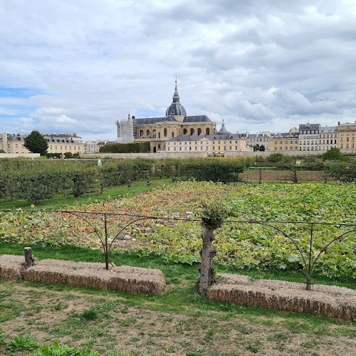 The King's Kitchen Garden