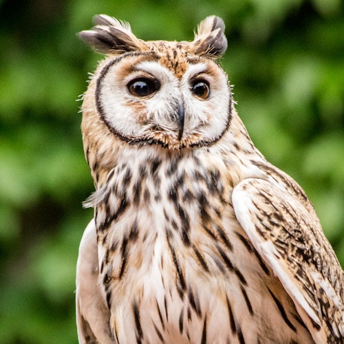Zoo Temaikèn
