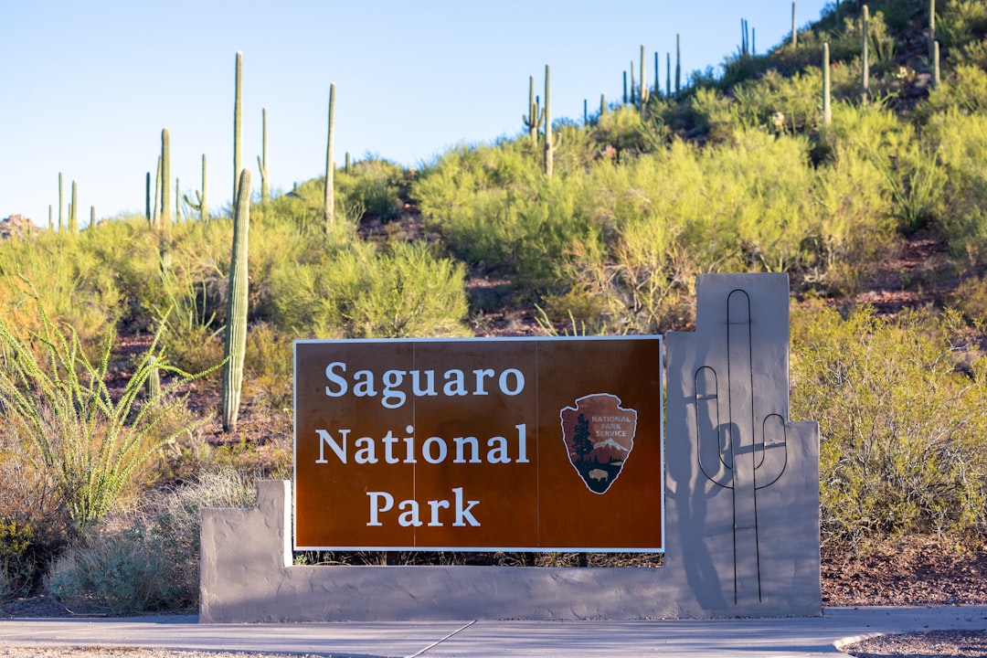 Saguaro National Park