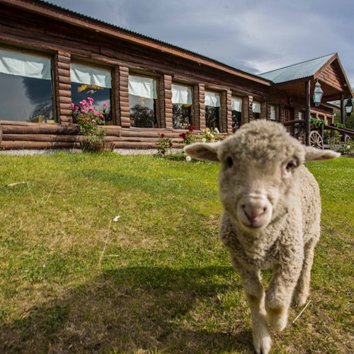 Day Trips from El Calafate