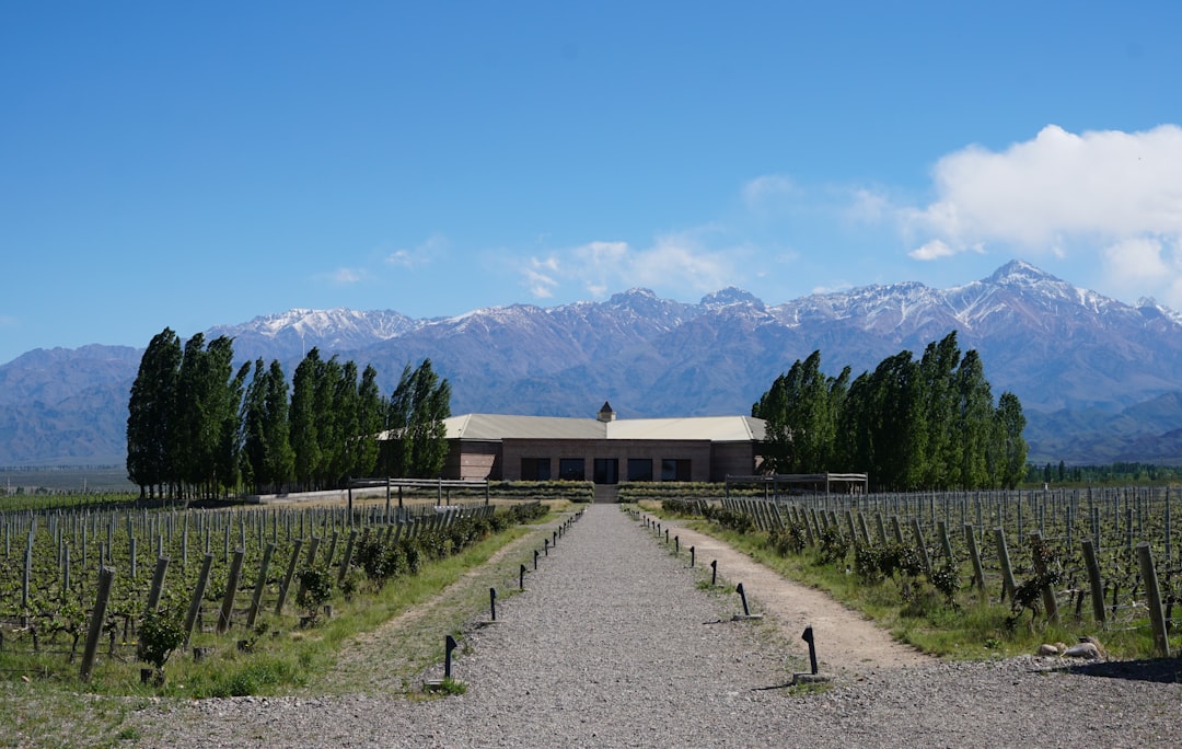 Mendoza Wineries