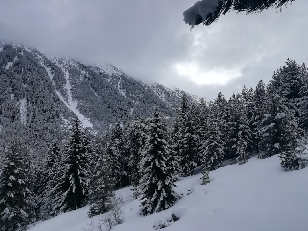 Pirin Ski Slopes
