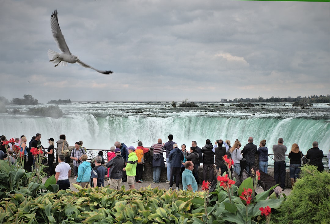 Meeting of the Waters