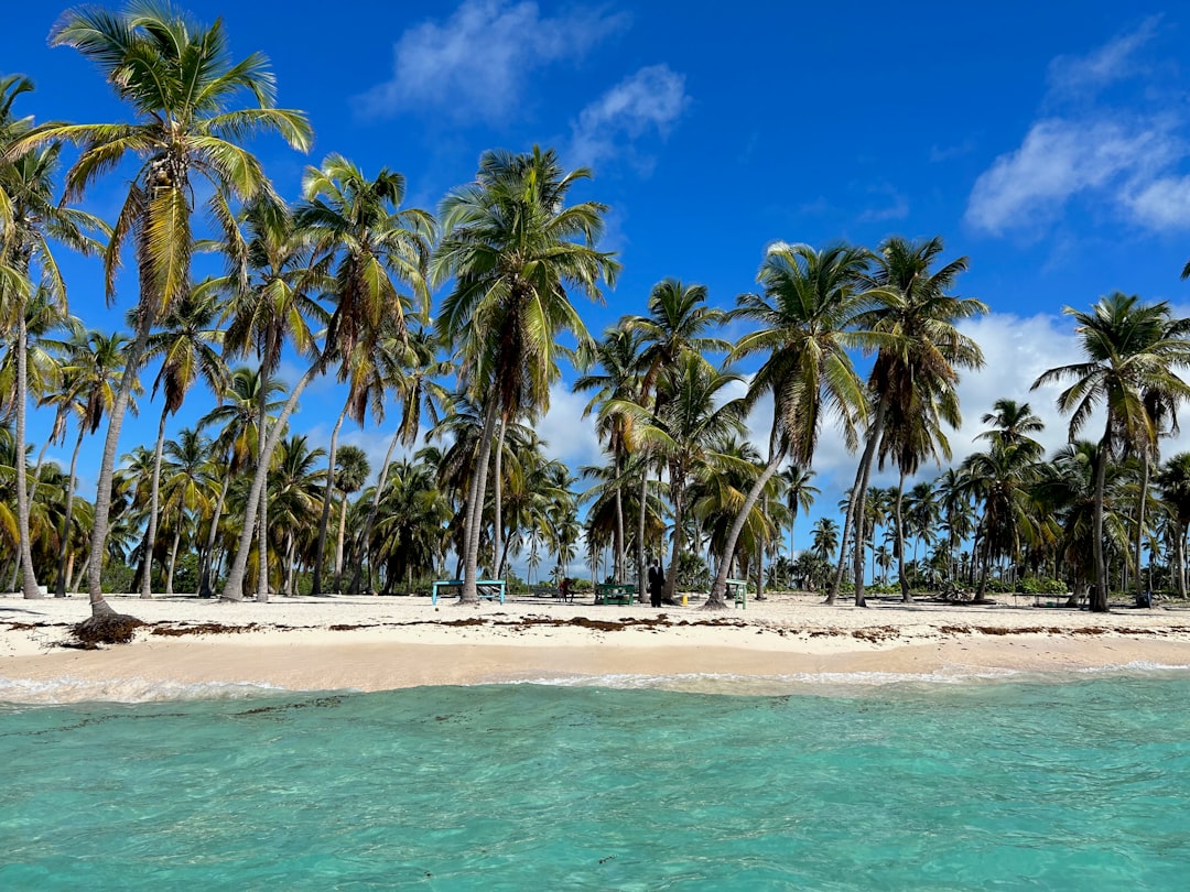 Saona-Insel