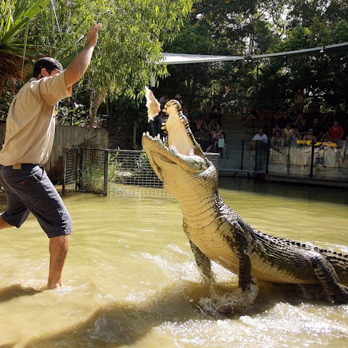 Hartley's Crocodile Adventures