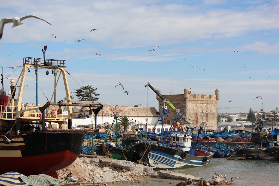 Porto de Essaouira