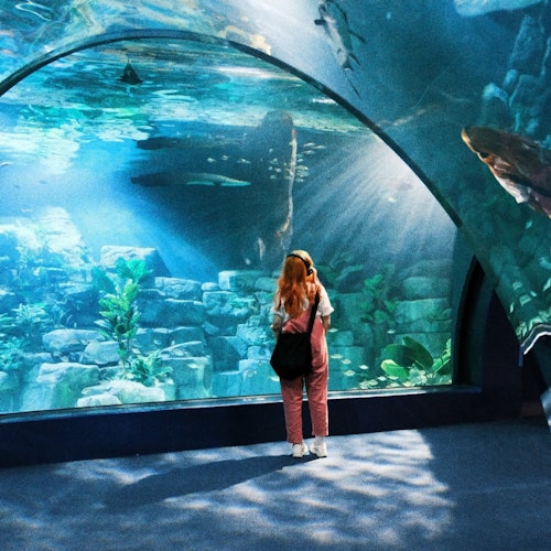 Acuario Lotte World de Hanoi