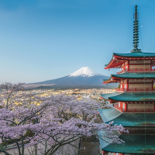Tagesausflüge zum Fuji ab Tokio