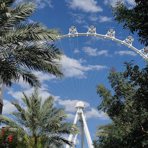 LINQ High Roller