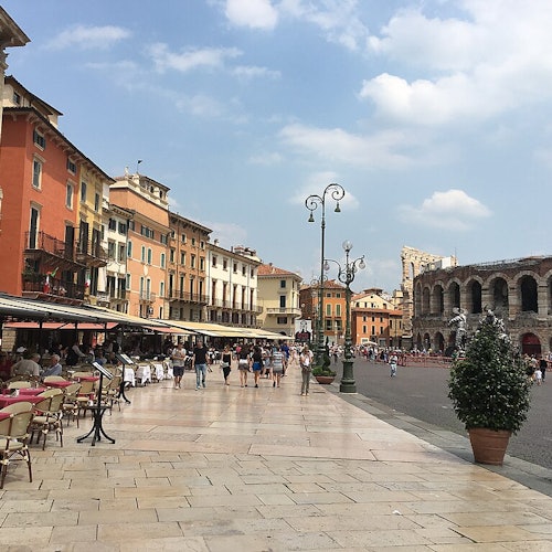 Sujetador Piazza