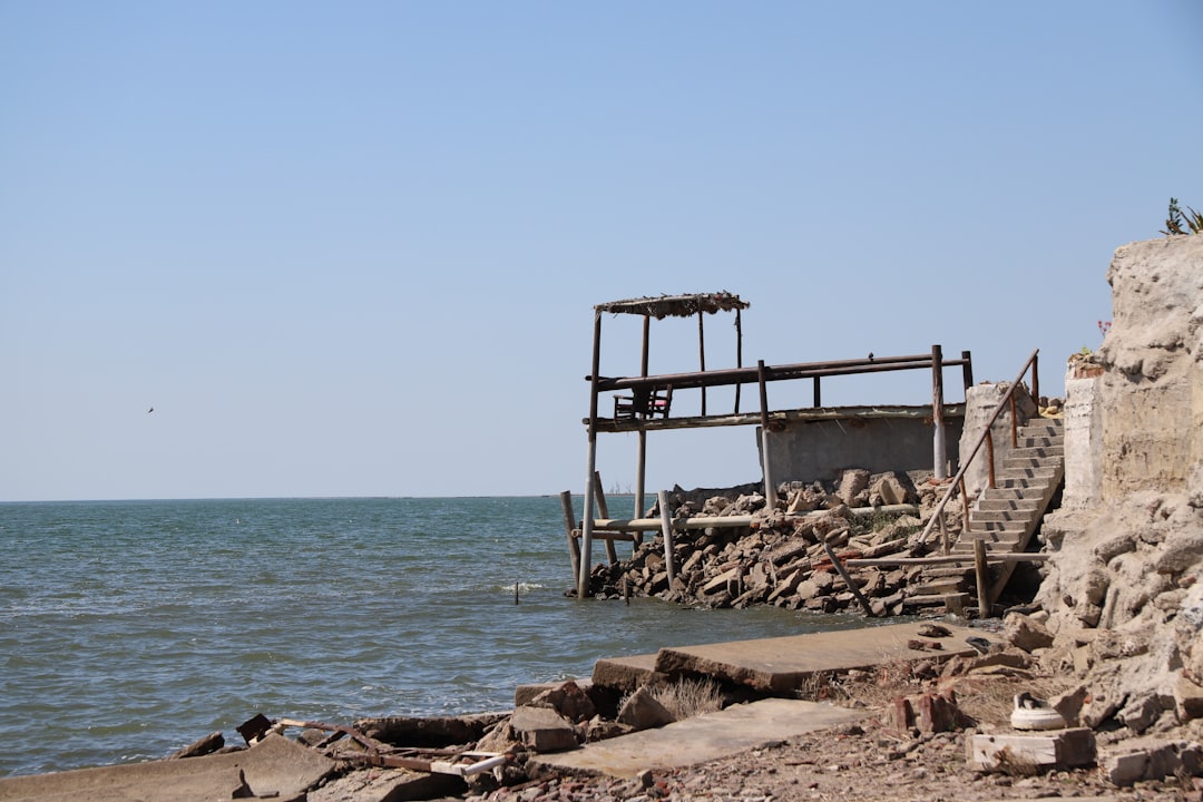Miramar Fossil Cliff