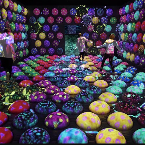 teamLab Forest Fukuoka