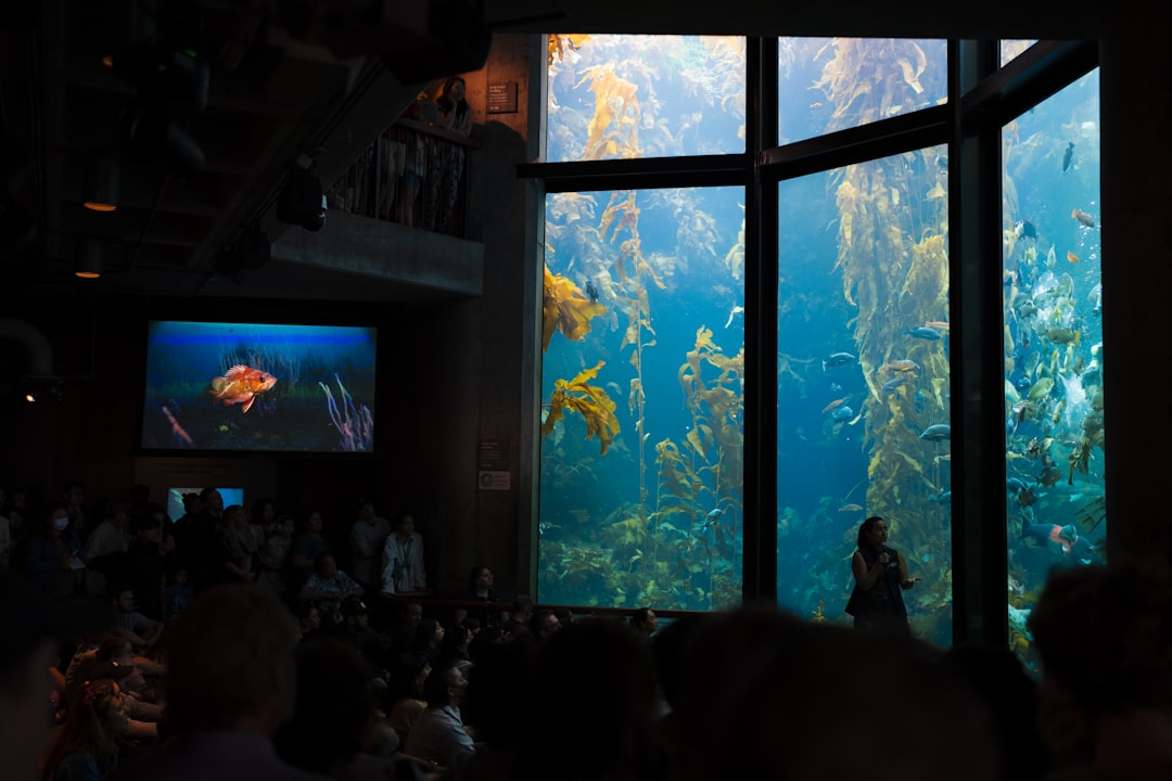 Monterey Bay Aquarium