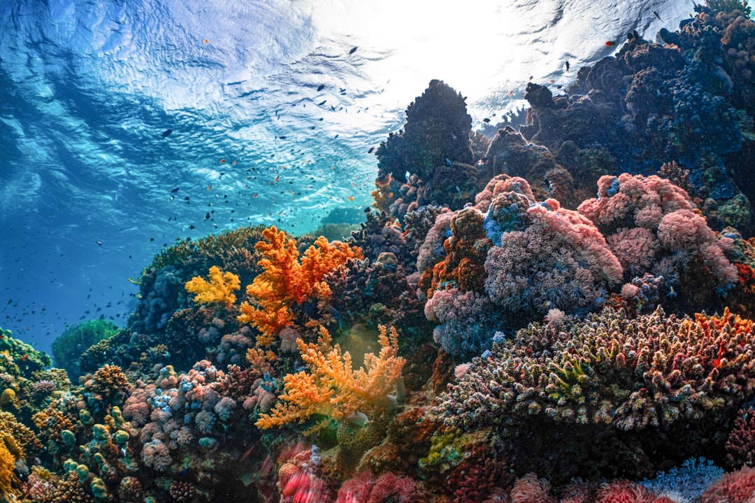 Roatán