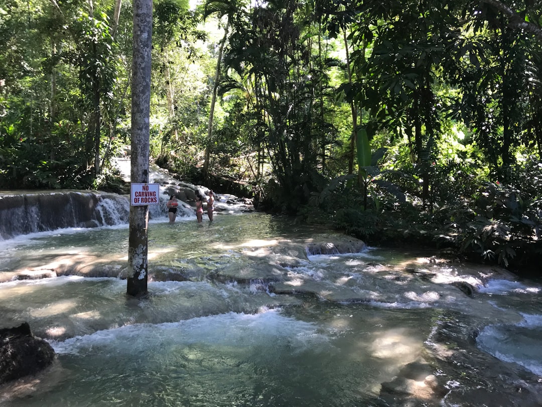 Dunn's River Falls (Ocho Rios)