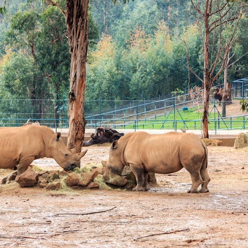 Zoo Santo Inácio