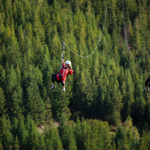 Ziptrek Ecotours