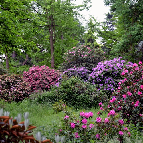 Chèvreloup Arboretum