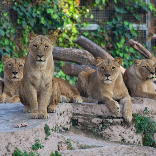 Barcelona Zoo