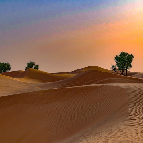 Wüstensafaris in Dubai