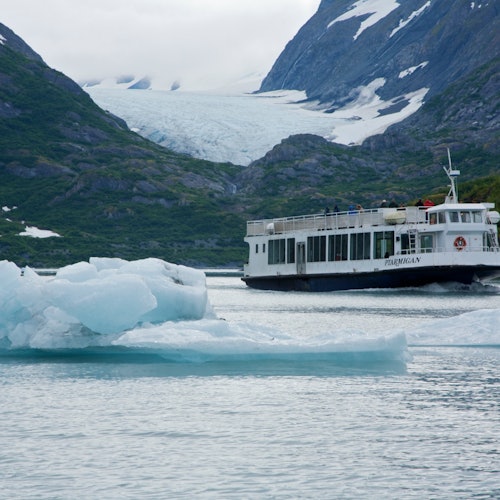 Cruzeiro de Observação em Anchorage