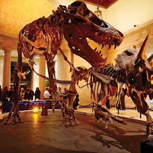 Museu de História Natural do Condado de Los Angeles