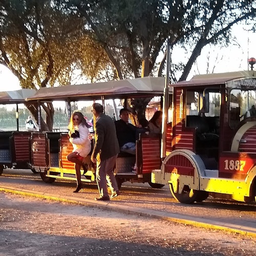 Alamillo-Park
