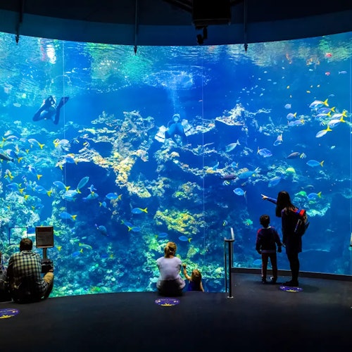 California Academy of Sciences