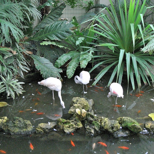 Parque Phœnix