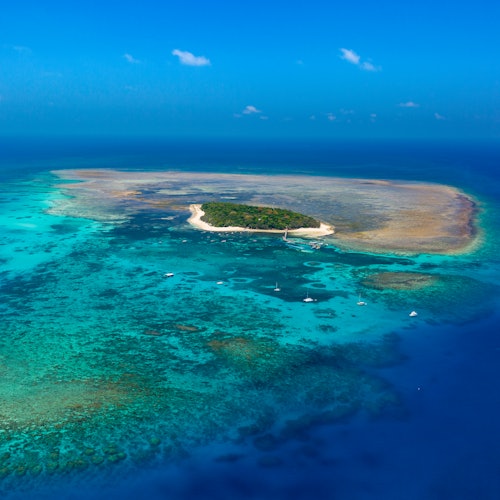 Green Island Cruises