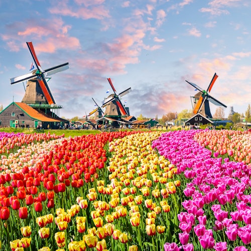 Recorridos por Zaanse Schans
