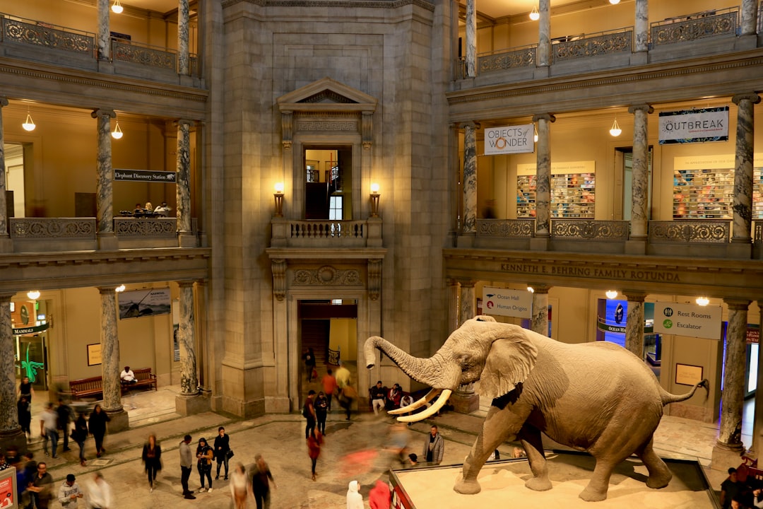 Museum of the Rockies