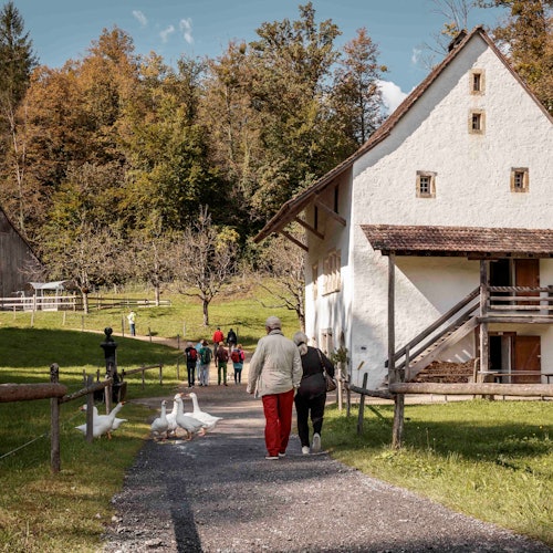 Freilichtmuseum Ballenberg