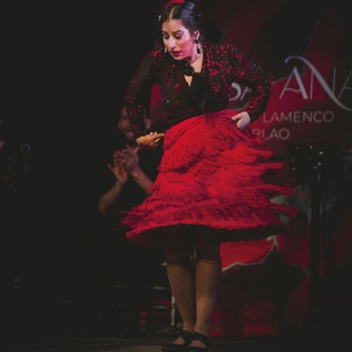 Tablao Flamenco Casa Ana Granada