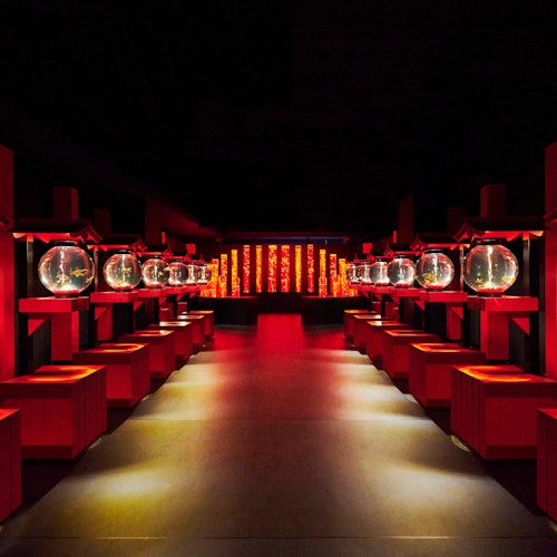 Museo Acuario de Arte