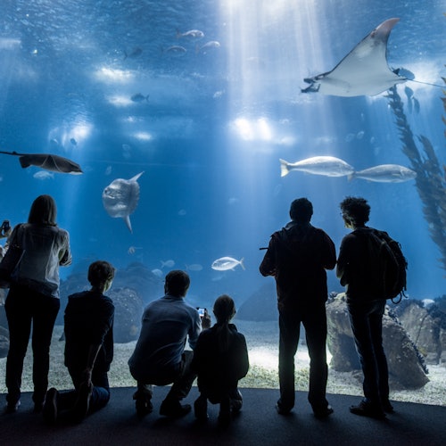 Oceanário de Lisboa
