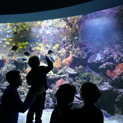 Aquarium Sevilla