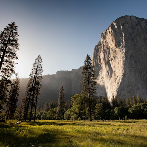 Yosemite National Park