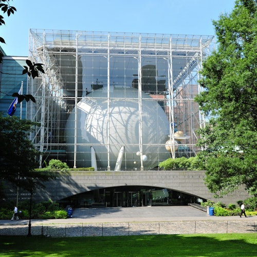 American Museum of Natural History (AMNH)
