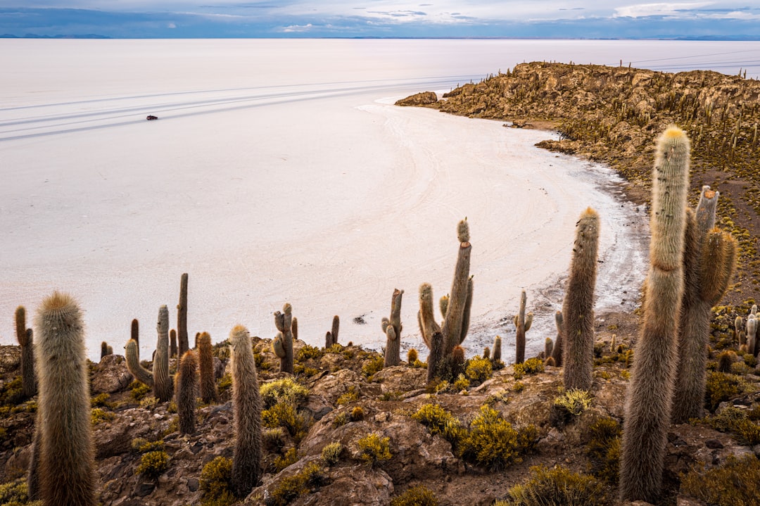 Isla Incahuasi