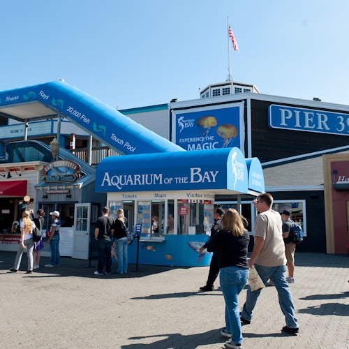 Aquarium of the Bay