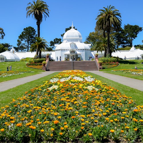 Golden Gate Park