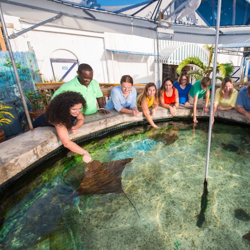 Key West Aquarium