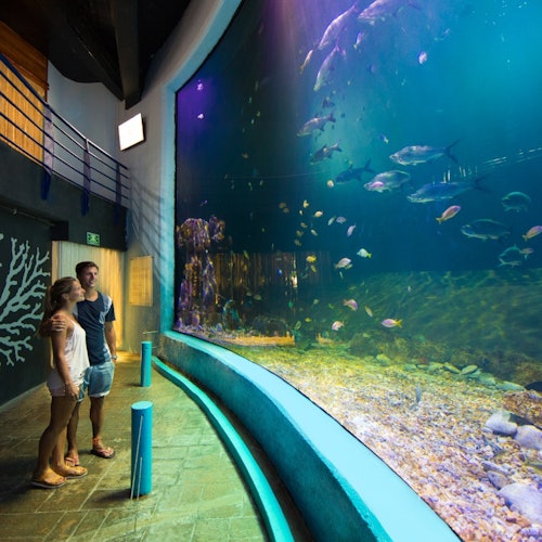 Acuario Interactivo Cancún